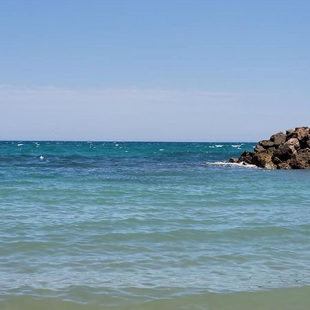 Apartament Dudek Torrevieja Dış mekan fotoğraf